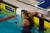2008 matt grevers wiki_tiny